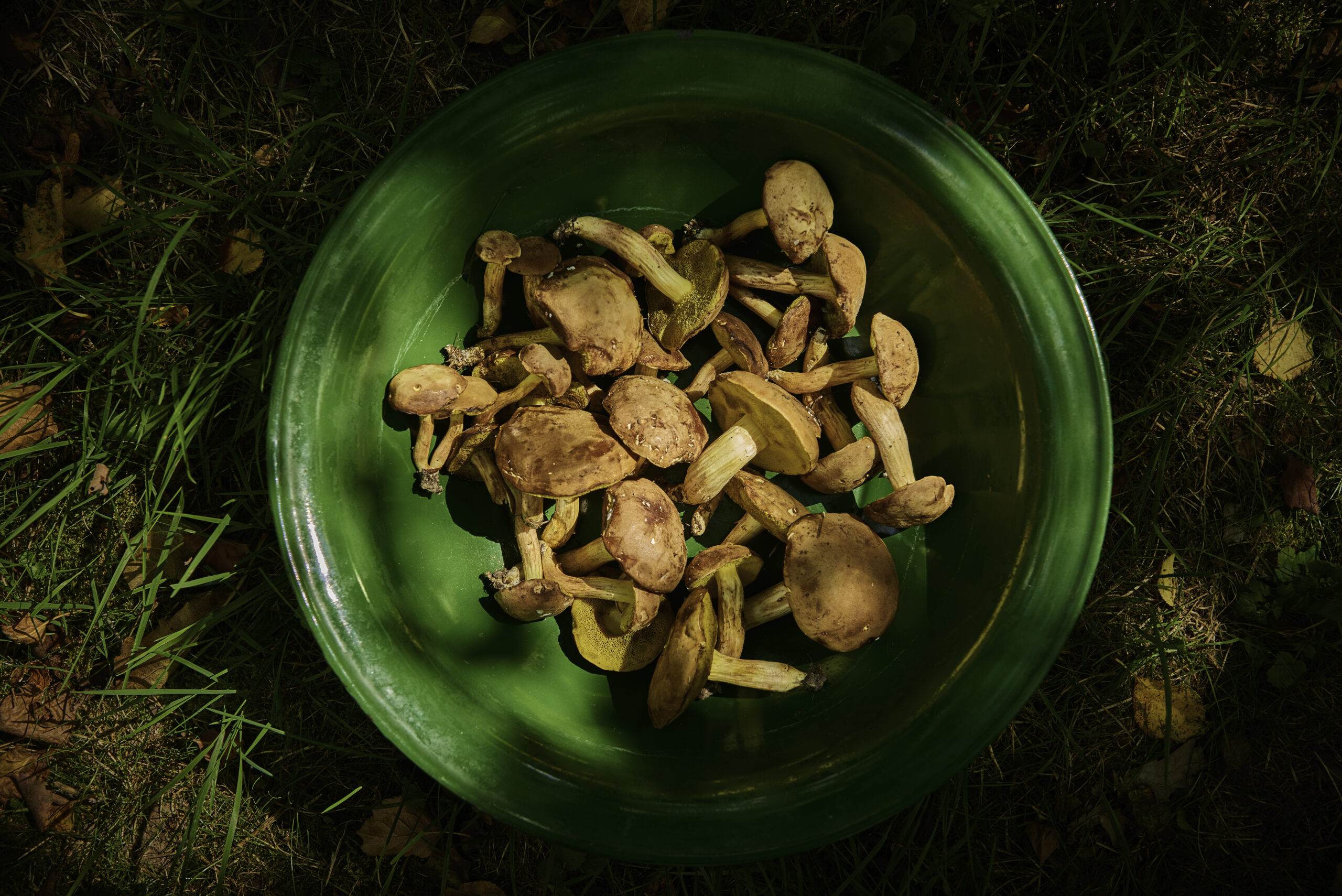 Fotografia kulinarna Lublin