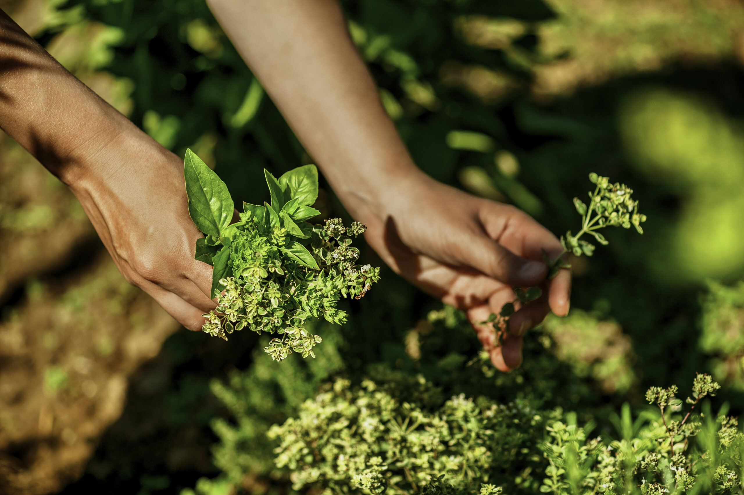 Fotografia kulinarna Lublin
